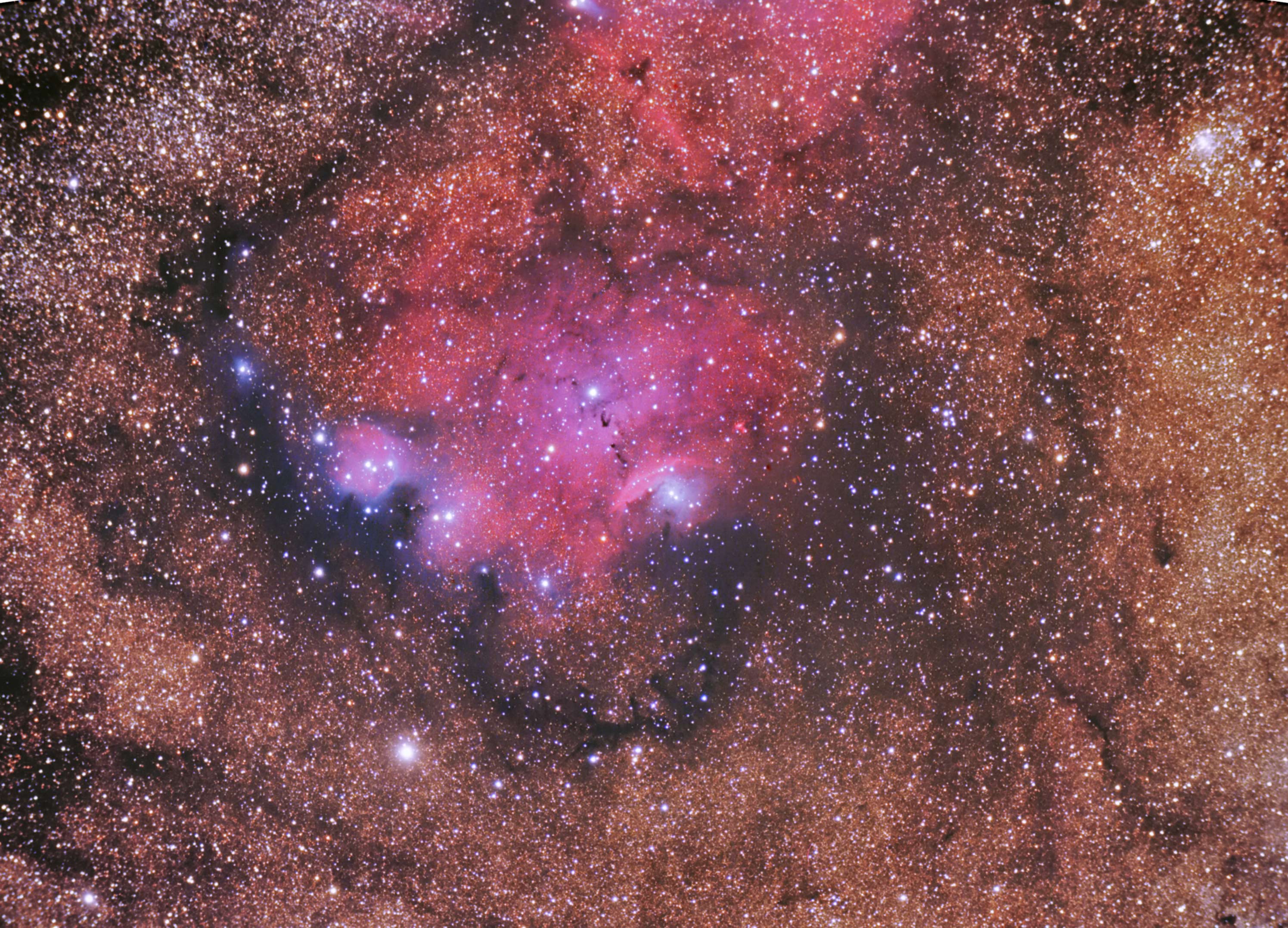 Ngc 6559