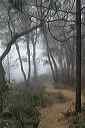 misty_march_morning